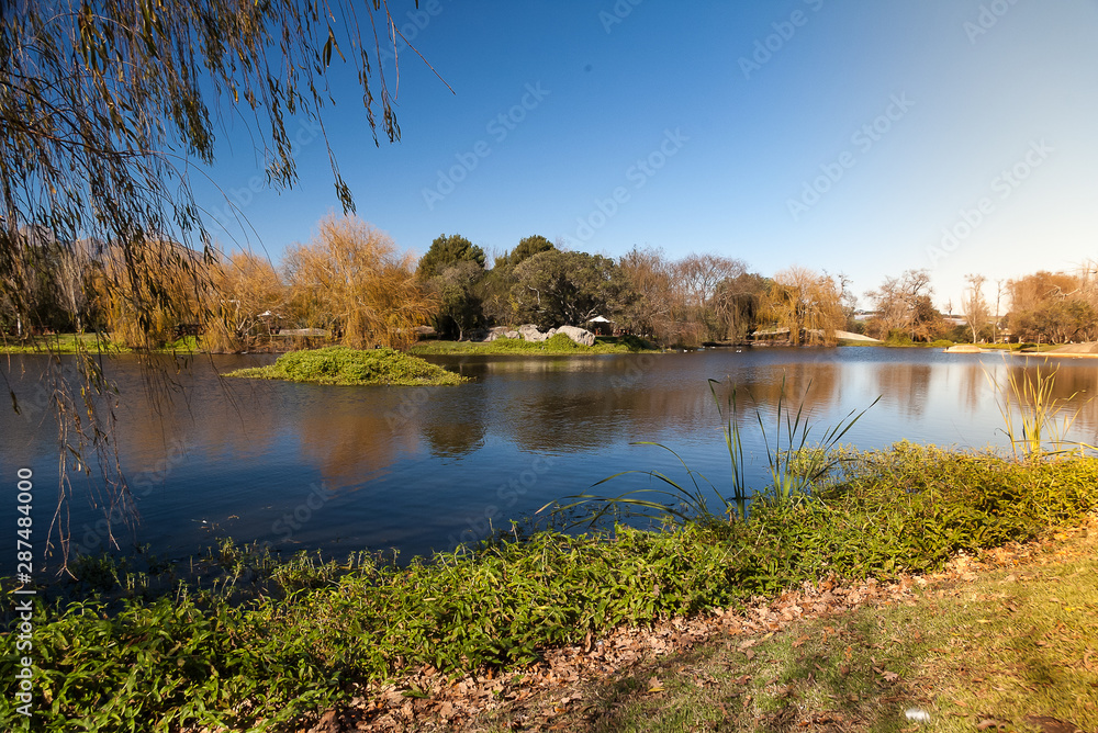 Fototapeta premium Spier Wine Farm - Stellenbosch