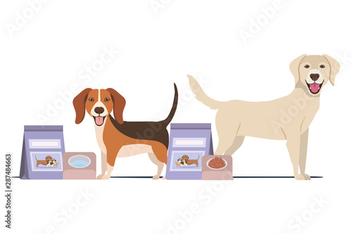 dogs with bowl and pet food on white background