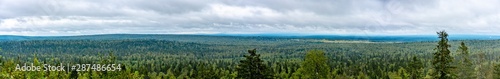 Panorama of the forest. In the background, a mountain range. Gremyachinsky district, Perm Krai, Russia