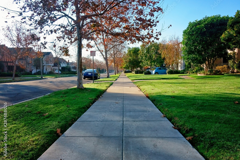 The suburbs The suburbs
