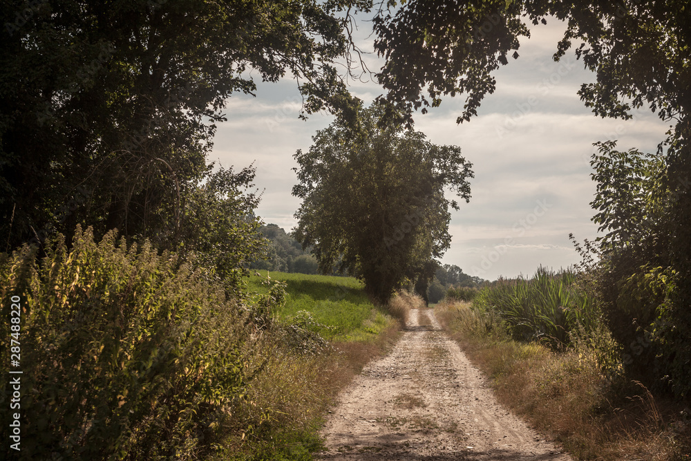 Typical French dirt road, a path in the countryside of France, with crops and fields ready to be harvested in an agricultural area of the country during summer. Typical French dirt road, a path in the countryside of France, with crops and fields ready to be harvested in an agricultural area of the country during summer.