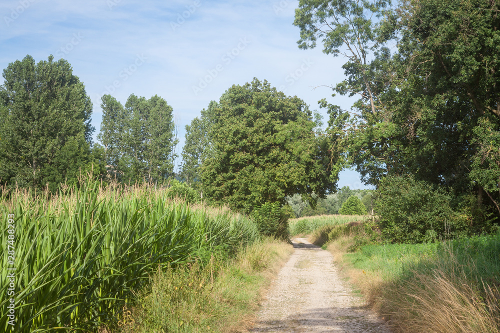 Typical French dirt road, a path in the countryside of France, with crops and fields ready to be harvested in an agricultural area of the country during summer.