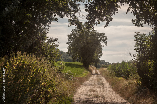 Typical French dirt road, a path in the countryside of France, with crops and fields ready to be harvested in an agricultural area of the country during summer.
