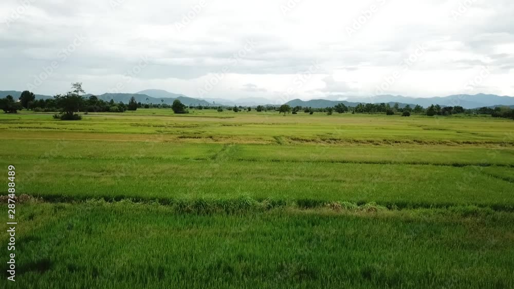 sky landscape green meadow nature blue country sky landscape green meadow nature blue country