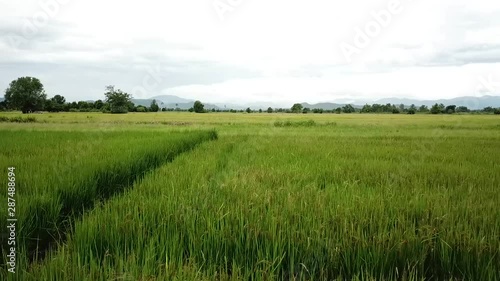 sky landscape green meadow nature blue country