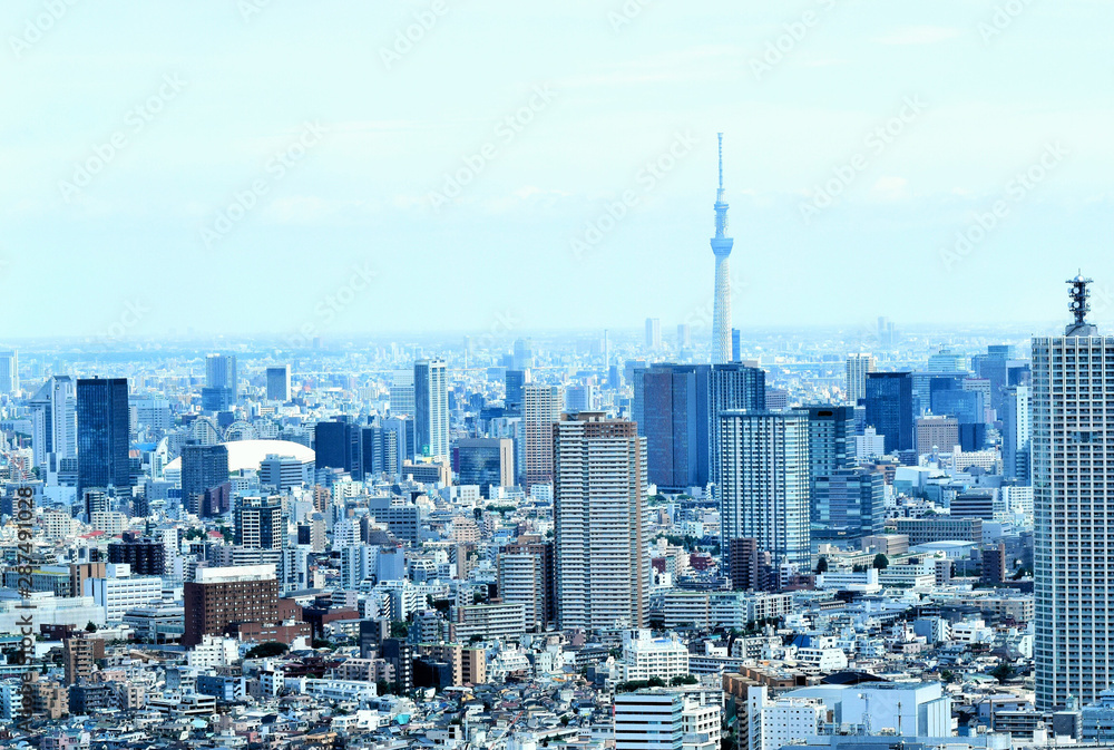東京の町並み、東京スカイツリーとビル群、日本の首都