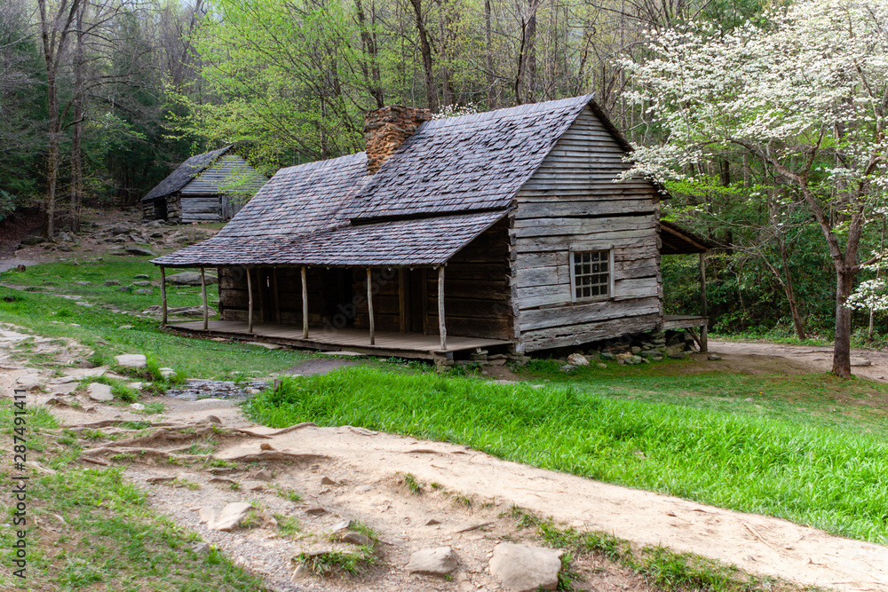 Historic Cabin in the Woods