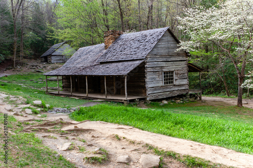 Historic Cabin in the Woods