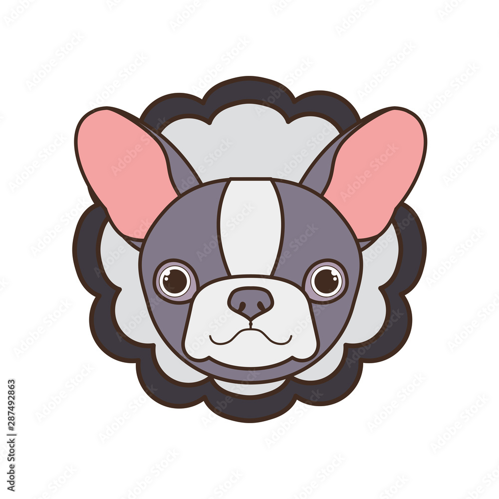 card cute and lovely of dog card cute and lovely of dog