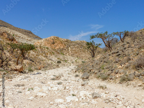 Landscape at the Incense Route in Dhofar (ظفار) Sultanate of Oman © pixs:sell