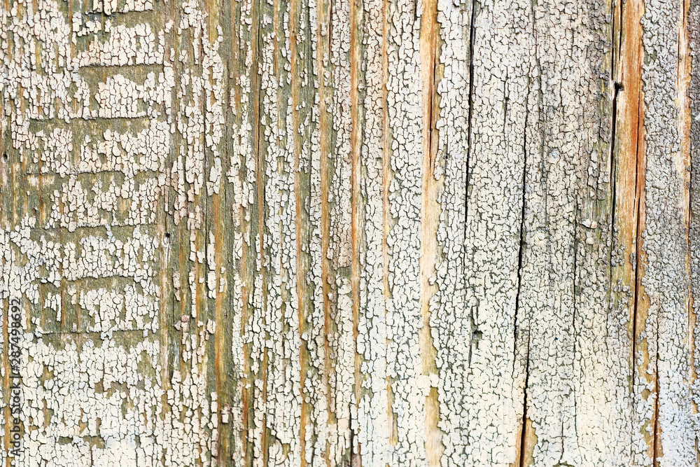 Obraz premium old peeling paint. wood texture. the background