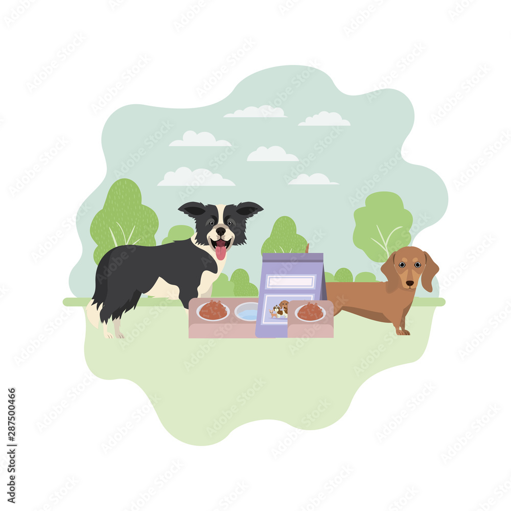 Fototapeta premium dogs with bowl and pet food on landscape