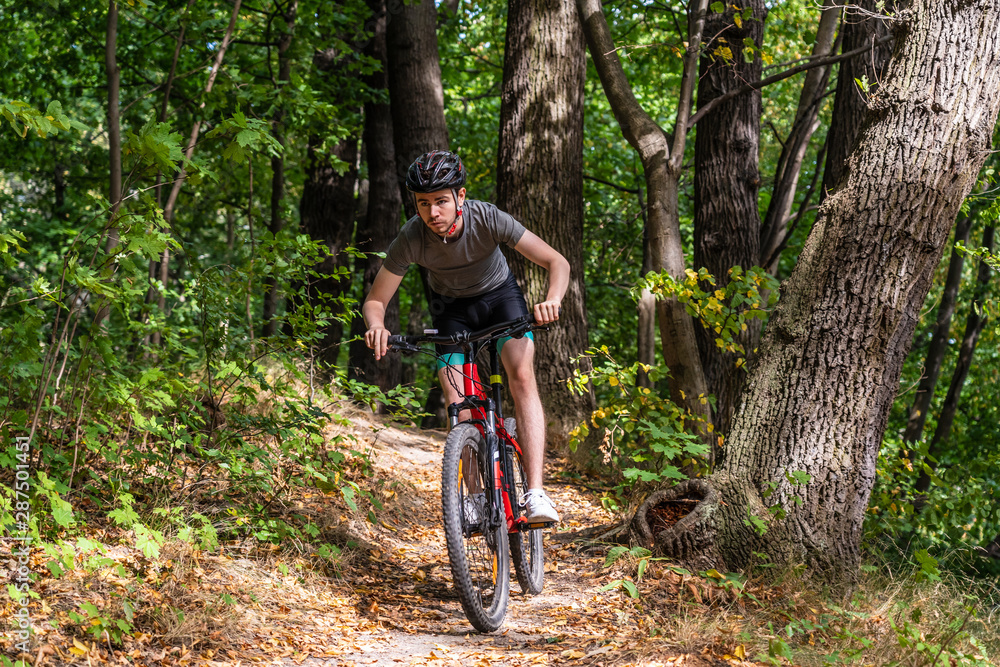 Young man biking in forest