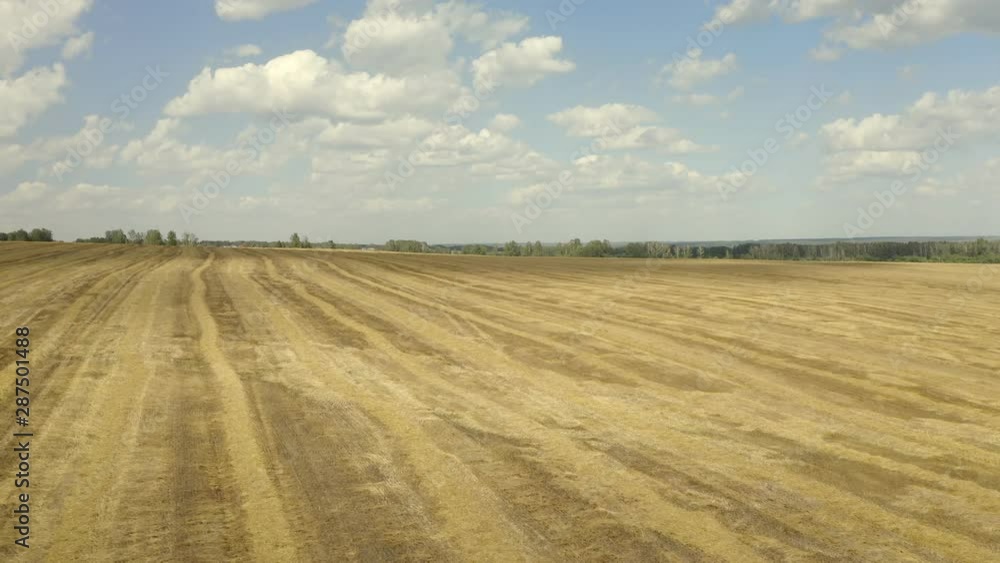 Aerial view. Field after the harvest of wheat. Harvesting of wheat in summer. View from above. View from drone Aerial view. Field after the harvest of wheat. Harvesting of wheat in summer. View from above. View from drone
