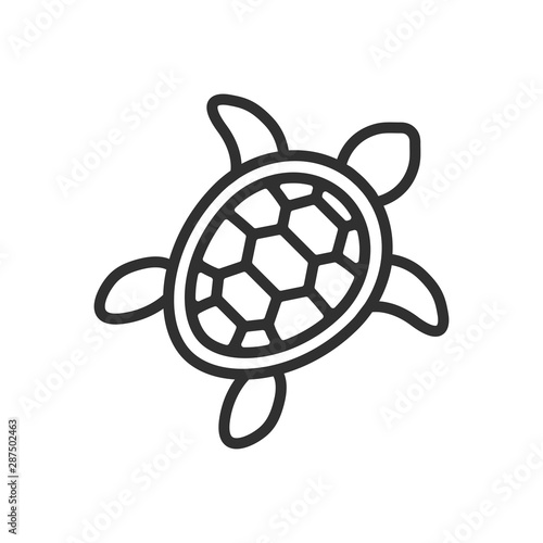 vector illustration icon of turtle