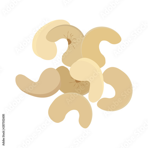 Cashew nuts illustration