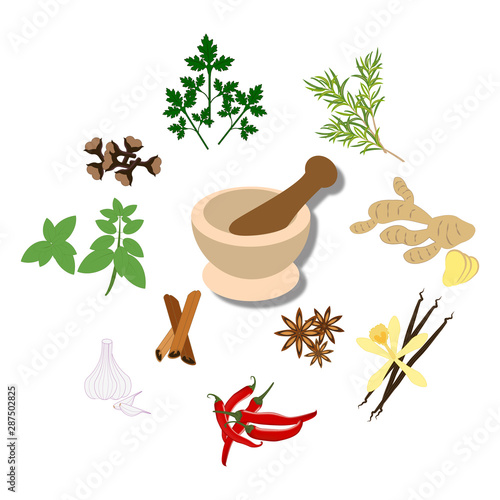 Spices and mortar illustration