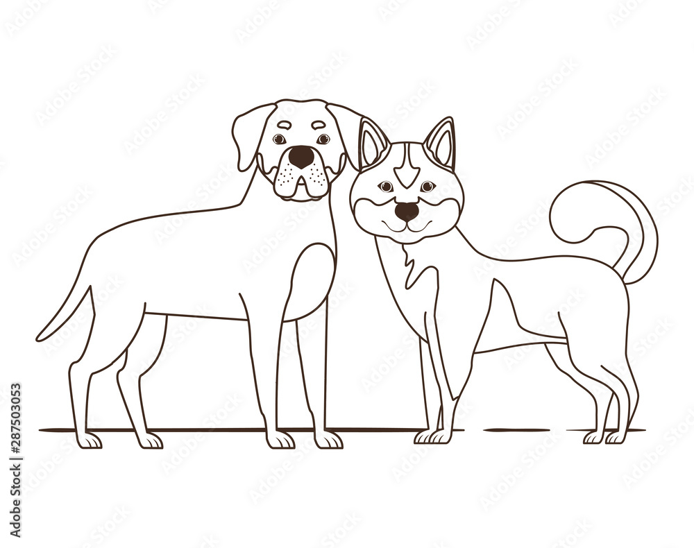 silhouette of cute and adorable dogs on white background
