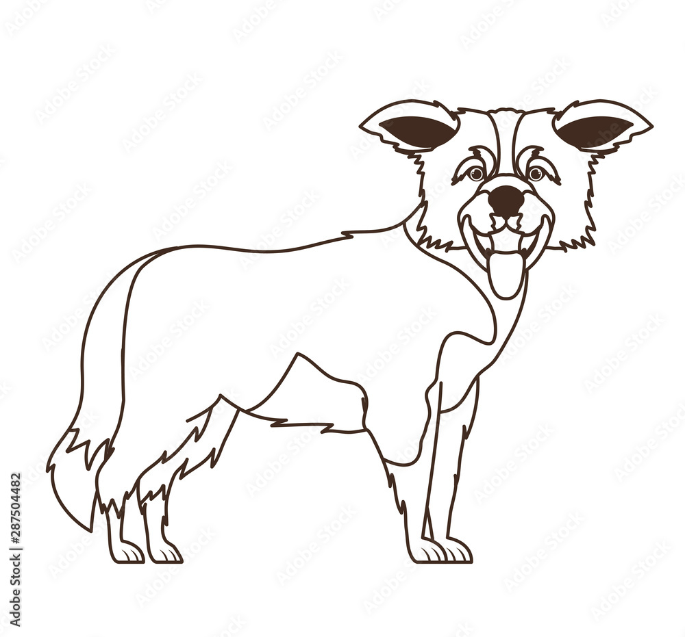 silhouette of cute border collie dog on white background silhouette of cute border collie dog on white background