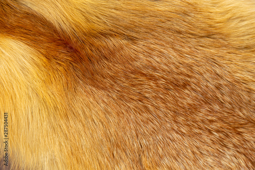 Skin of a fox as an abstract background