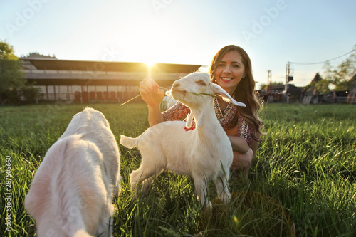 Young woman feeding grass to goat kids  wide angle photo with strong backlight and sun over farm in background