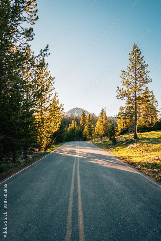 Spring Canyon Road, in Uinta-Wasatch-Cache National Forest, Utah Spring Canyon Road, in Uinta-Wasatch-Cache National Forest, Utah