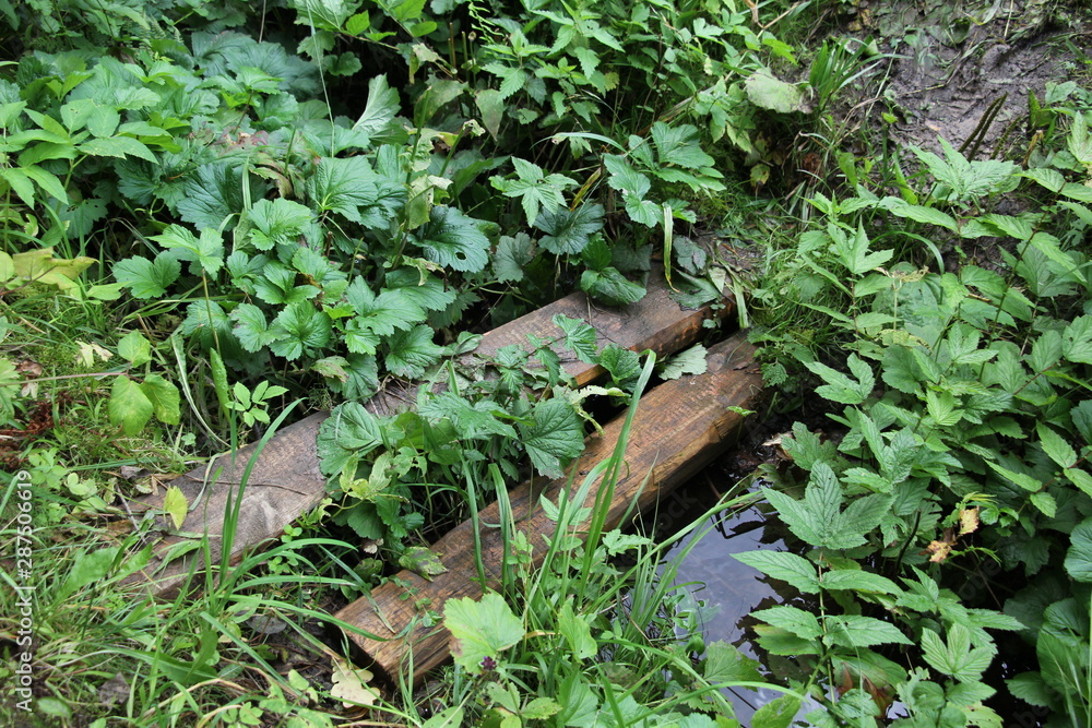 wooden planks laid across the stream