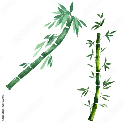 Bamboo green leaves and stalks. Watercolor background illustration set. Isolated bamboo illustration element.