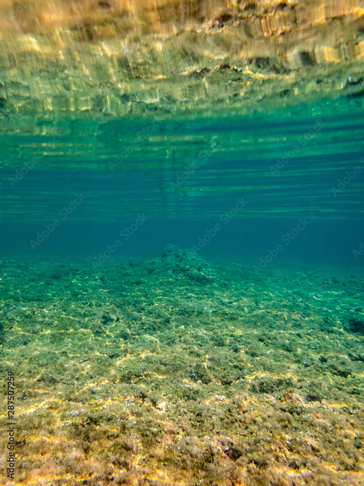 Shallow Reef in Malta