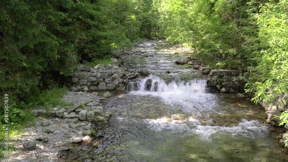Clear water flowing in forest creek over stone cascade, sun shines on trees on sides and background Clear water flowing in forest creek over stone cascade, sun shines on trees on sides and background