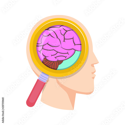 Human brain study vector design illustration isolated on white background