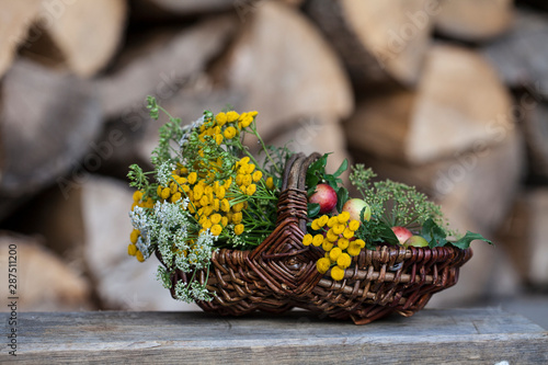 Autumn Still Life With Wild Flowers photo