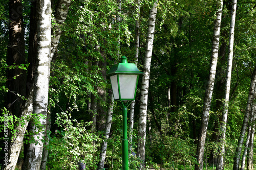 green lamppost in the forest