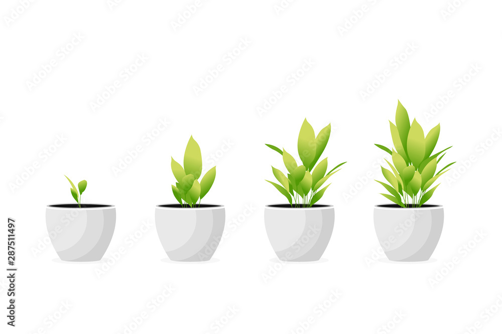 Isolated garden decoration, vector illustration Isolated garden decoration, vector illustration