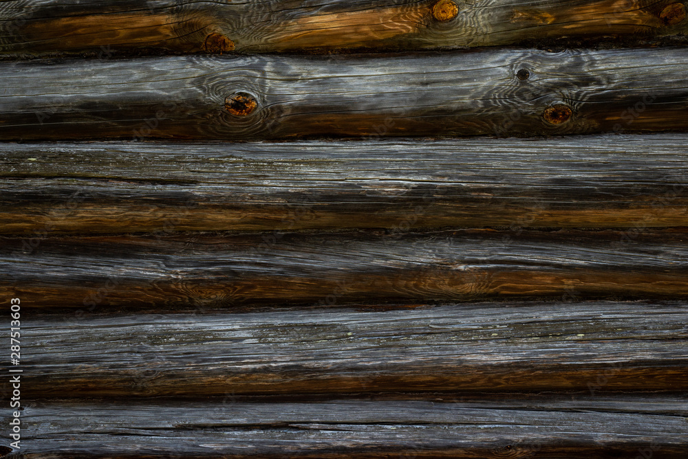 Fototapeta premium Texture of old log house wall