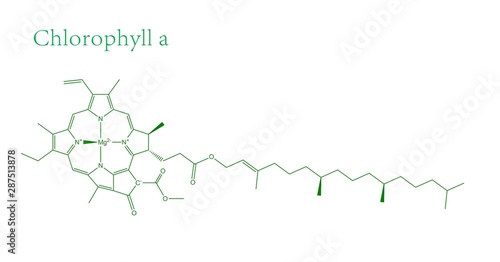 Molecular structure of Chlorophyll A photo