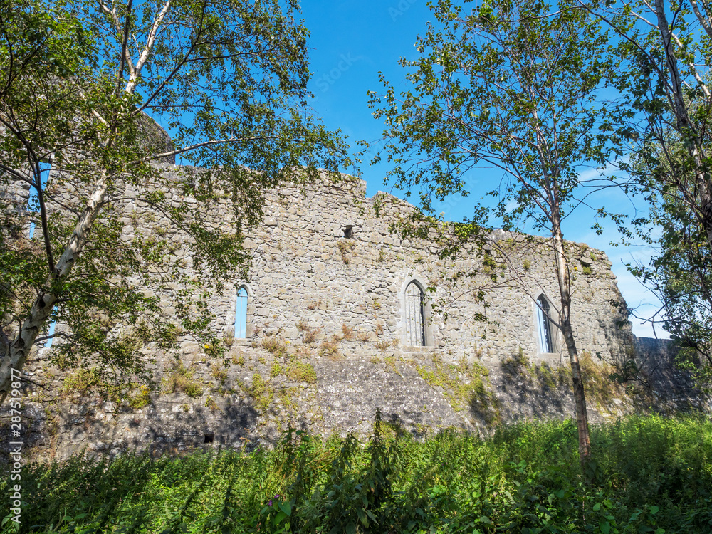 Fototapeta premium Athenry Castle in Ireland
