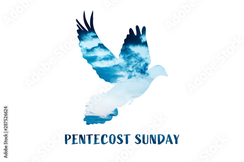 Christian worship and praise. Cloudy sky with dove and empty space. Text: PENTECOST SUNDAY
