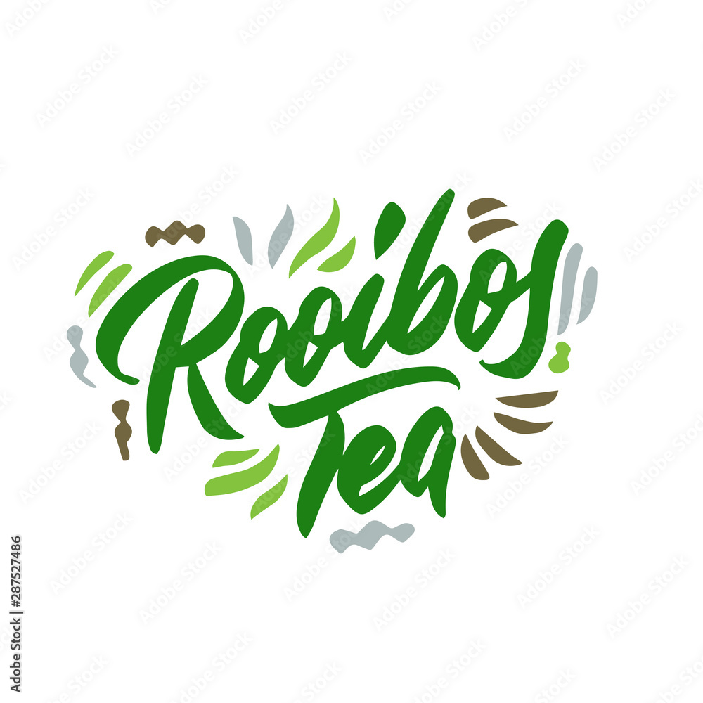 Rooibos tea hand drawn illustration. Template for card banner and poster for restaurant menu and package. Vector illustration Rooibos tea hand drawn illustration. Template for card banner and poster for restaurant menu and package. Vector illustration