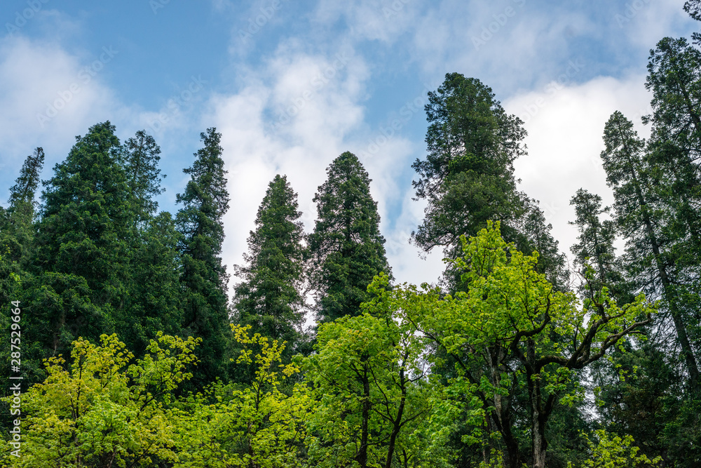 Beautiful Scenes experienced during the trek to the Hamta Pass Trek in the Himalayan Ranges