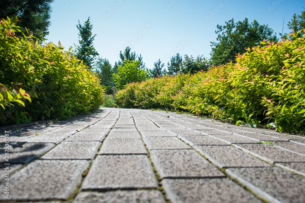 a cobblestone path runs through the green garden on a Sunny summer day, a garden with flowers trees and bushes,