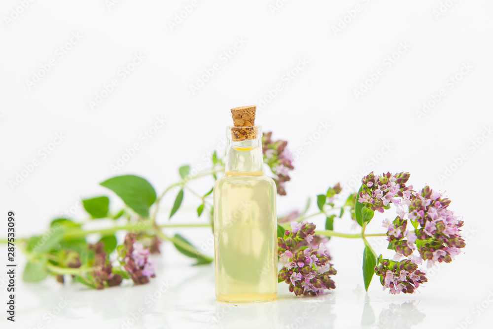 Essence of Oregano flowers on table in beautiful glass Bottle Essence of Oregano flowers on table in beautiful glass Bottle