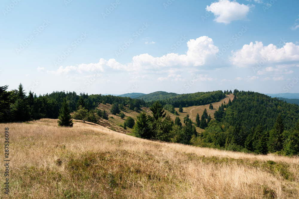 Velky Javornik, Javorniky, Beskid bountains, Czech Republic / Czechia - viewpoint and outlook from top of the hill and mountain. Meadow, trees and blue sky. Late summer warm colors. 