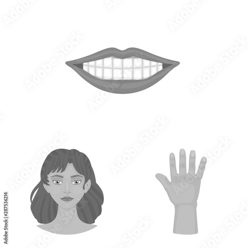 Vector design of body and part logo. Collection of body and anatomy stock vector illustration.