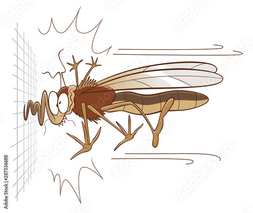 Mosquito and mosquito net