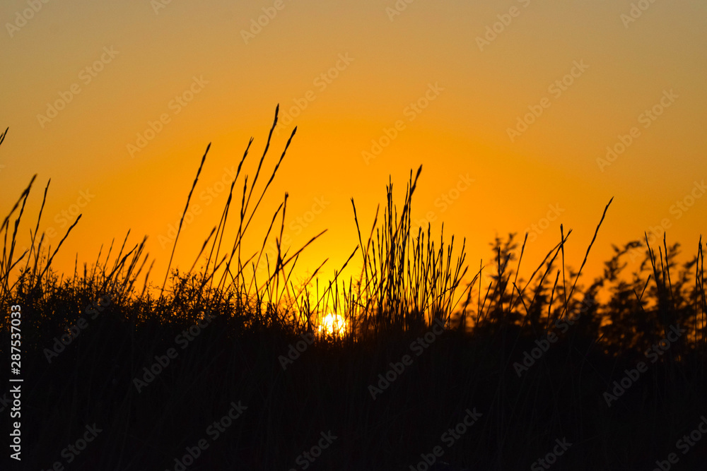 Black and orange background, sunset Black and orange background, sunset