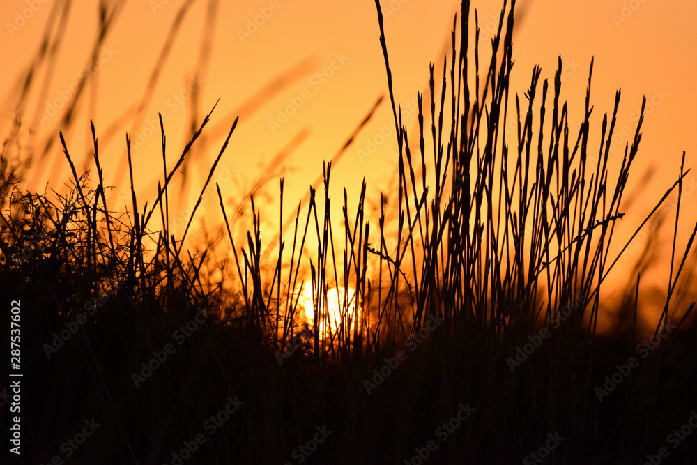Black and orange background, sunset Black and orange background, sunset