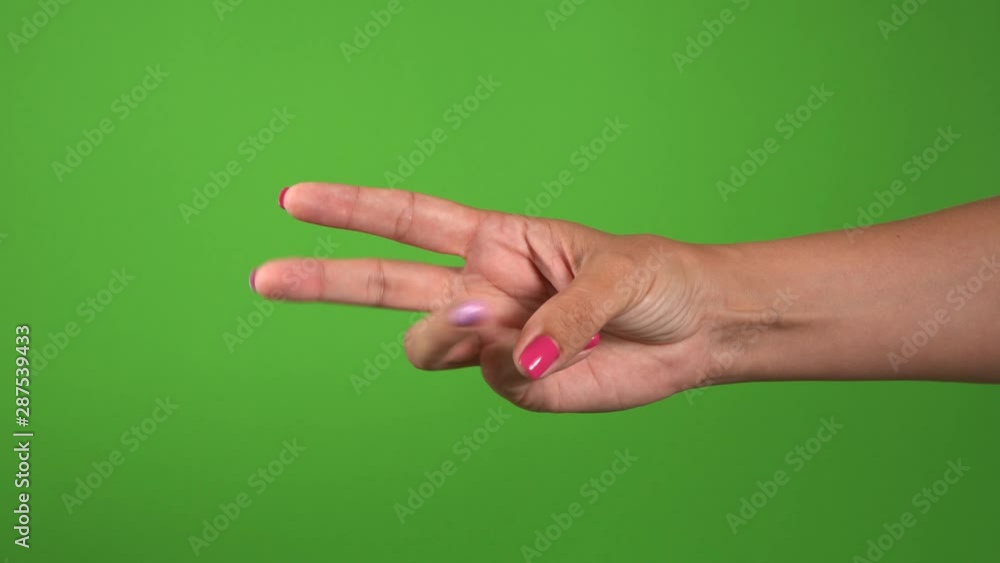 Closeup view of beautiful female one hand counting from 0 to 5 using fingers. Woman holds hand horizontaly and shows fist first, then one, two, three, four, five fingers. Manicured nails. 4k Closeup view of beautiful female one hand counting from 0 to 5 using fingers. Woman holds hand horizontaly and shows fist first, then one, two, three, four, five fingers. Manicured nails. 4k