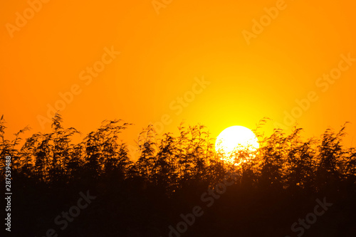 Black and orange background, sunset © NATALIIA TOSUN
