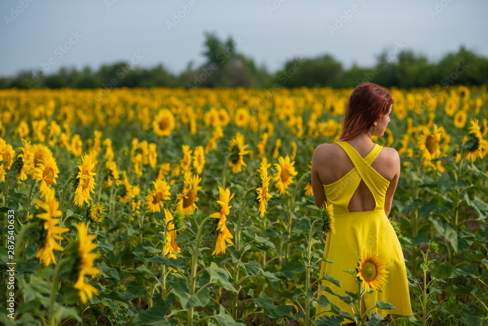 Fototapeta premium A red-haired woman in a yellow dress is standing in a field of sunflowers. Beautiful girl in a skirt sun enjoys a cloudless day in the countryside. Pink locks of hair.